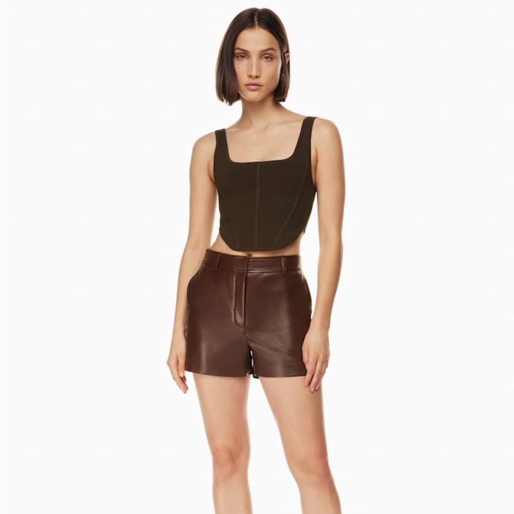 ⭐️3/$30⭐️ (bundle deal) ARITZIA Babaton Sculpt Knit Bustier Top in coffee bean